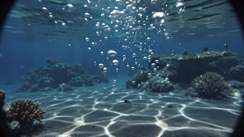 Cover image for Dual Perspectives: Underwater Worlds