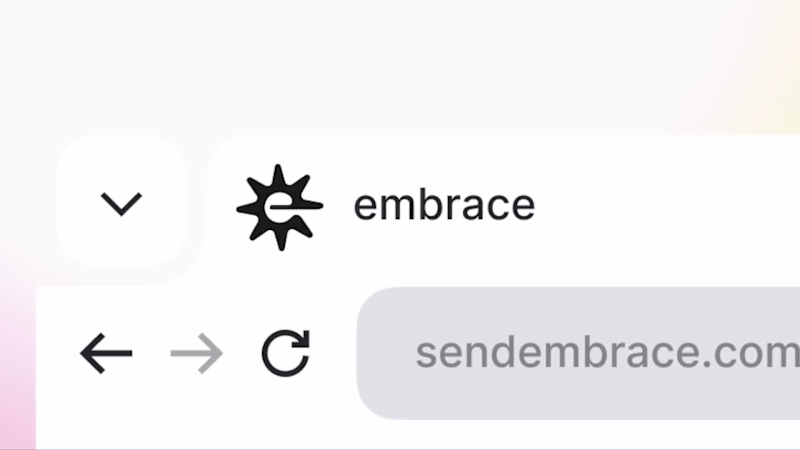 Cover image for embrace - Branding & Identity