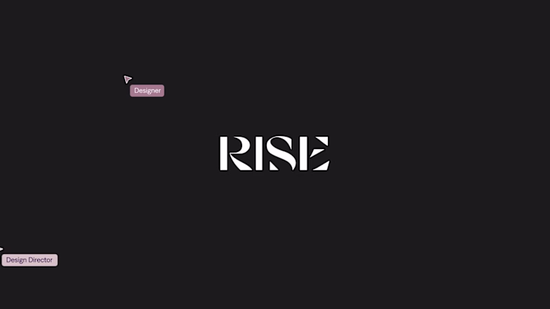 Cover image for ⚡️ Teamed up with Userise.co