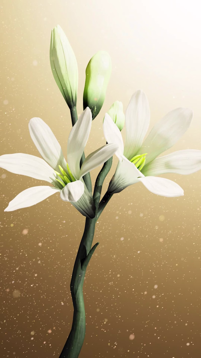 Cover image for Mandalika Perfume Gorgeous Tuberose -