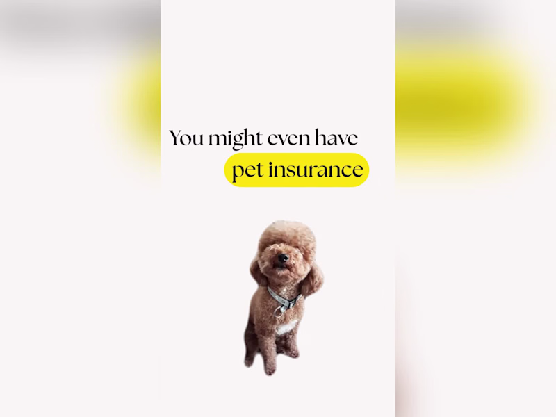 Cover image for Joya Health Animation