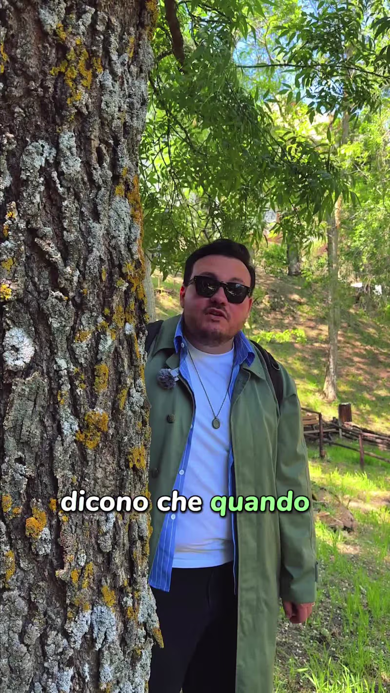 Cover image for Video production for Identitario —