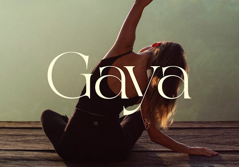 Cover image for Developed a structured visual identity