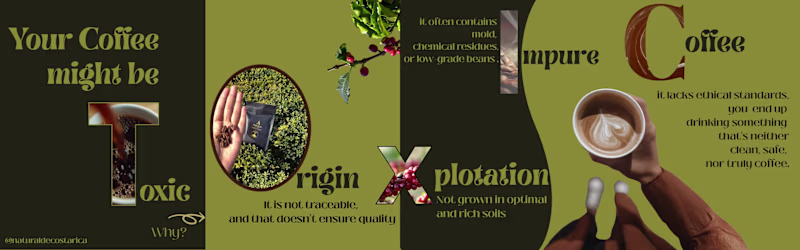 Cover image for Carrousel for a organic coffee
