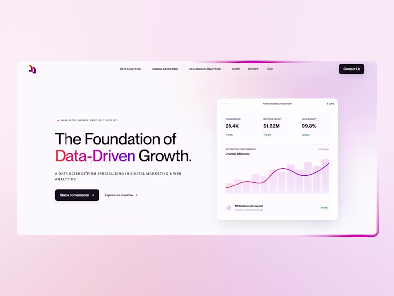 Cover image for Data Disciples Website Redesign