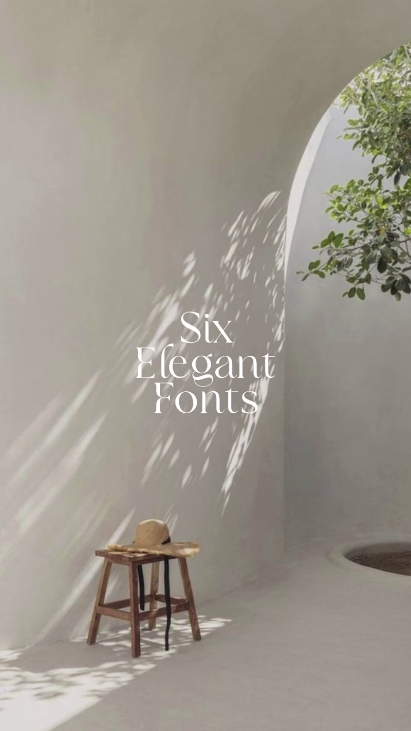 Cover image for A few fonts I've been loving lately. Slow edit, simple showcase