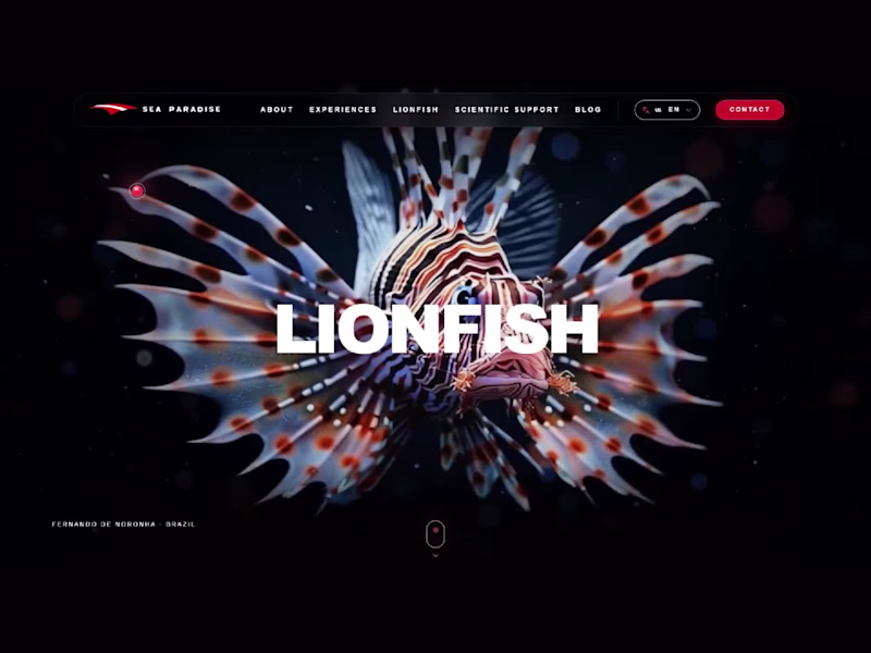 Cover image for 🦁 Lionfish Experience | Sea