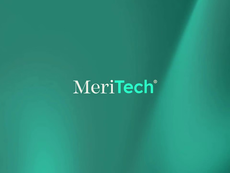 Cover image for Introducing MeriTech.
A fictional tech brand