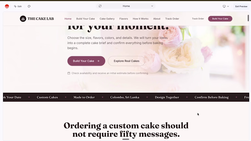 Cover image for I built THE CAKE LAB