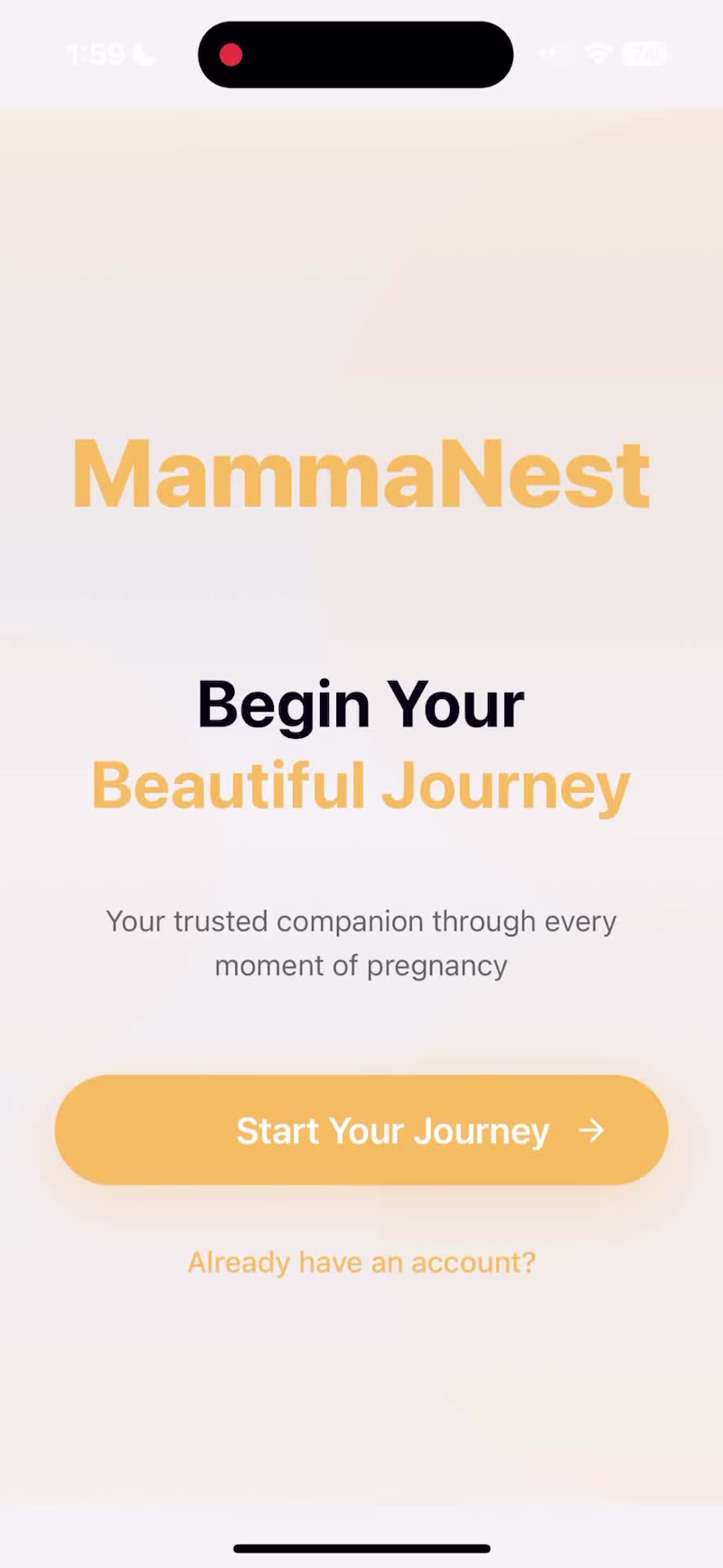Cover image for MammaNest