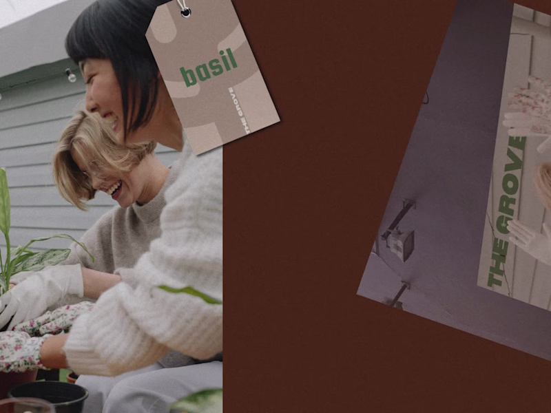 Cover image for The Grove: Brand Strategy + Identity + Assets