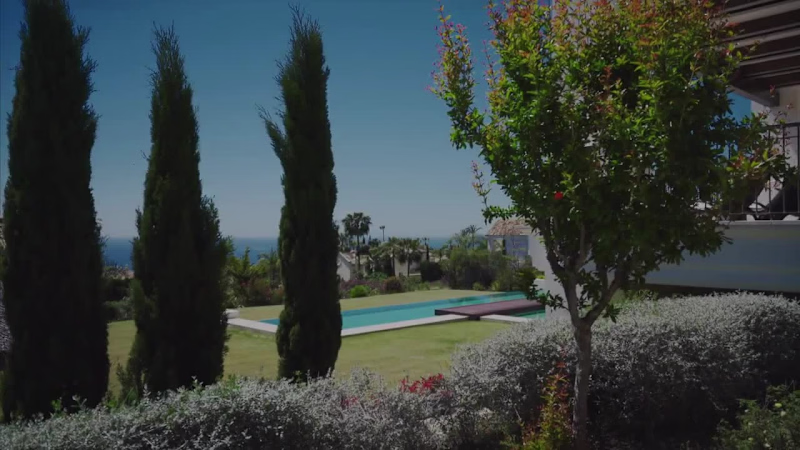 Cover image for Visual Grandeur. Treated every room