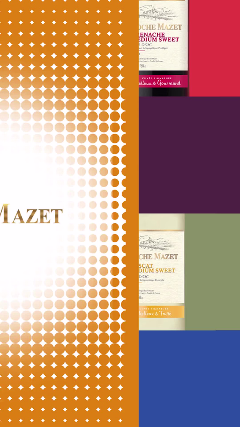 Cover image for Motion Graphic / 2D animation for Roche Mazet