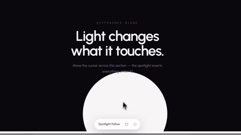 Cover image for Light changes what it touches.