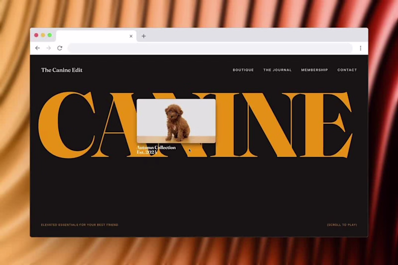 Cover image for Day 17/30 ✦ Designing interactive