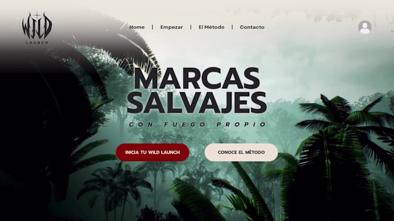 Cover image for Wild Launch: Identity Engineering for Conscious Growth