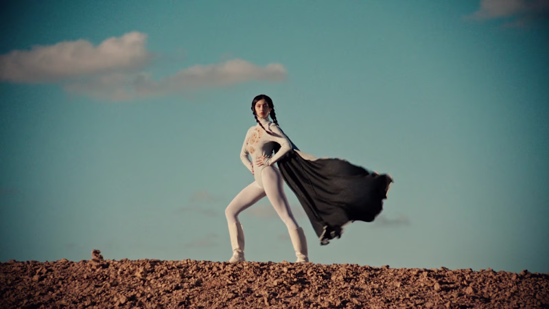 Cover image for Fashion Film