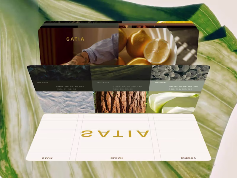 Cover image for SATIA | Brand Identity