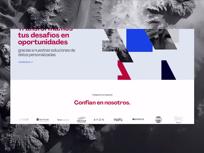 Cover image for Branding  & Web design for InfoAnalytics 