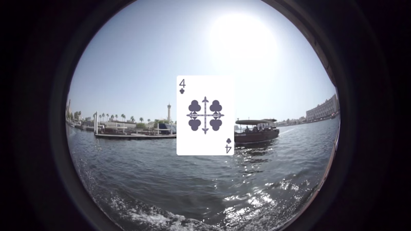 Cover image for Wistaria In Full Bloom