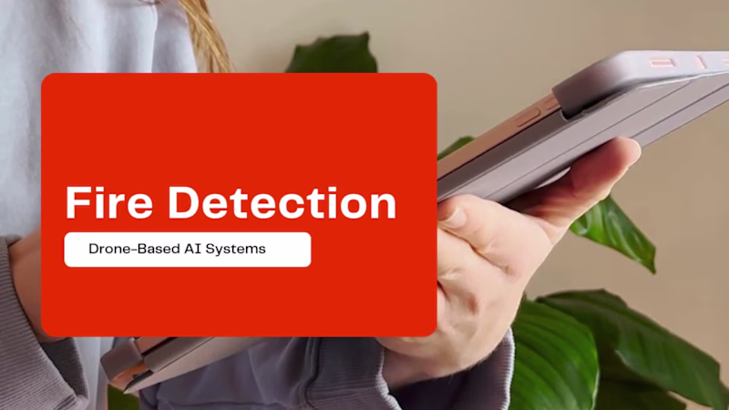 Cover image for Live Fire Detection 