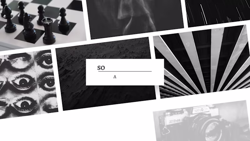 Cover image for Social Media Management – Portfolio 