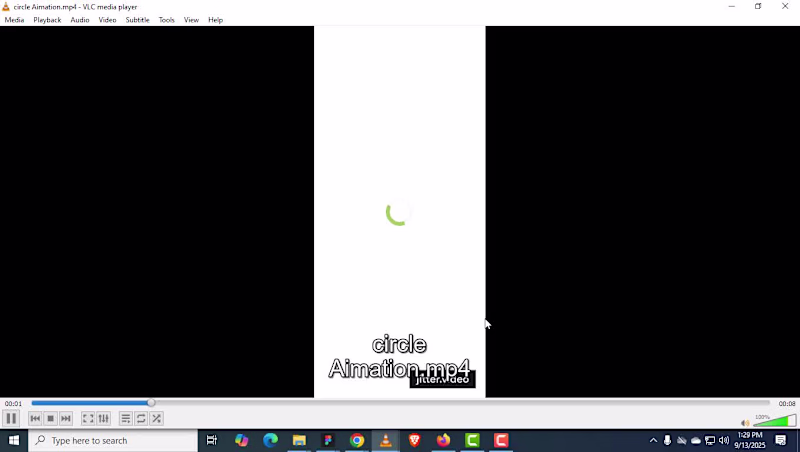 Cover image for Loader Animation for Zap Surveys