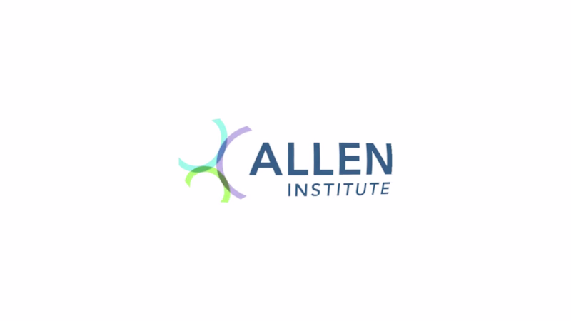 Cover image for Allen Institute