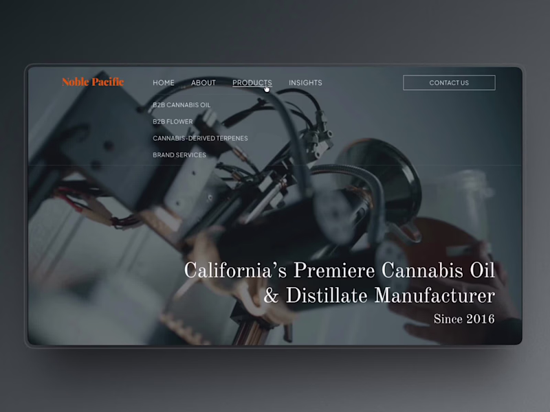 Cover image for Custom Business Website & Retainer Partnership