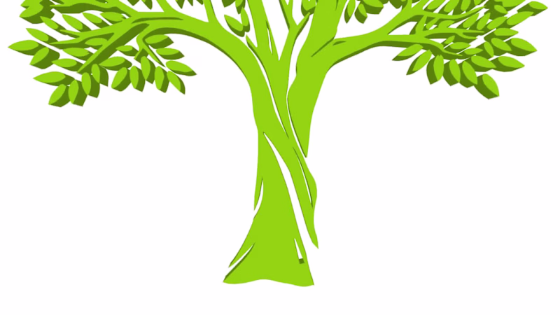 Cover image for BIBLE MOMENTS