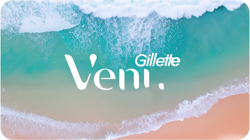 Cover image for Gillette Venus 