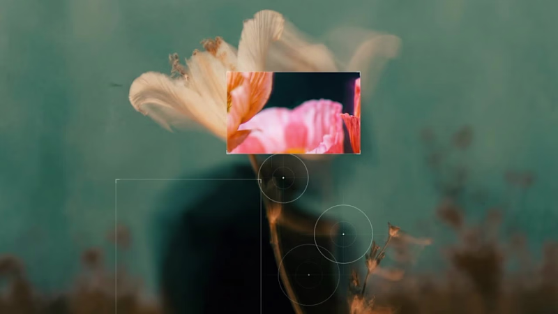 Cover image for summer sounds🌷