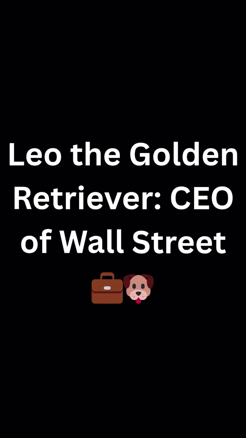 Cover image for Leo & Co. | The