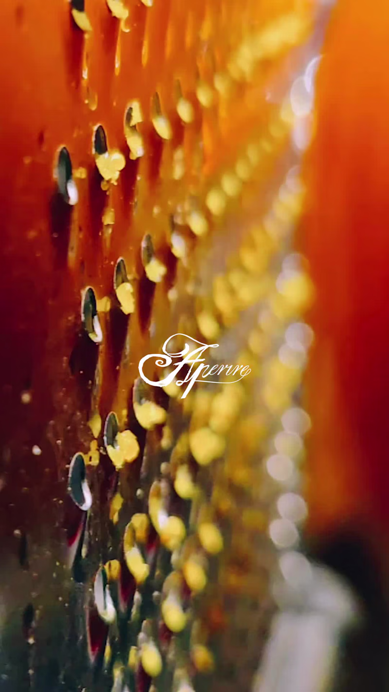 Cover image for When I was developing the Aperire brand, I was thinking...ho...