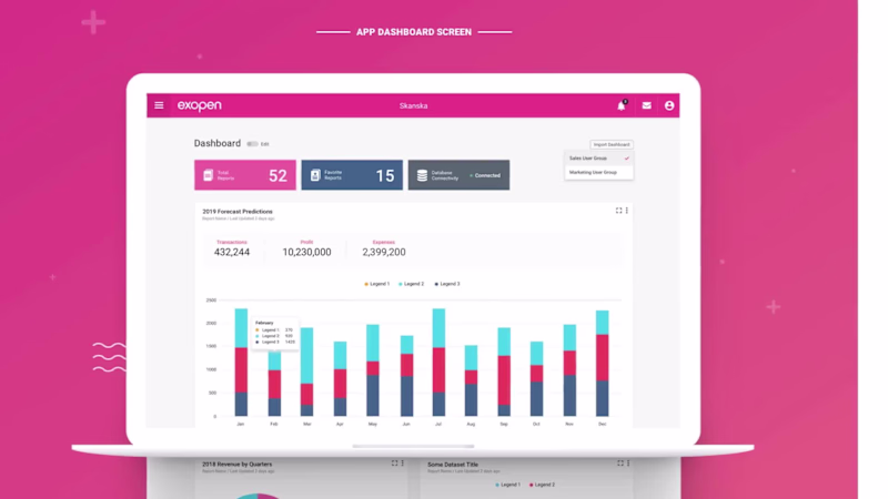 Cover image for Exopen - Enterprise Web Reporting Application