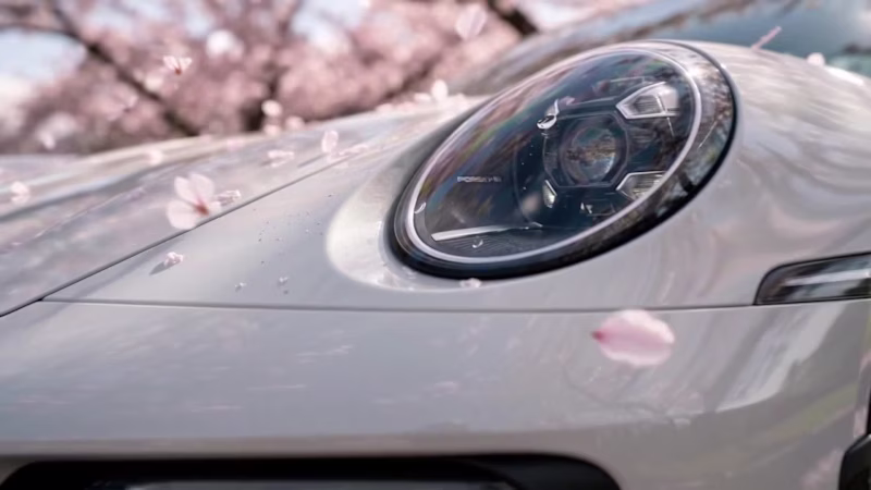 Cover image for Me: builds workflow systems that