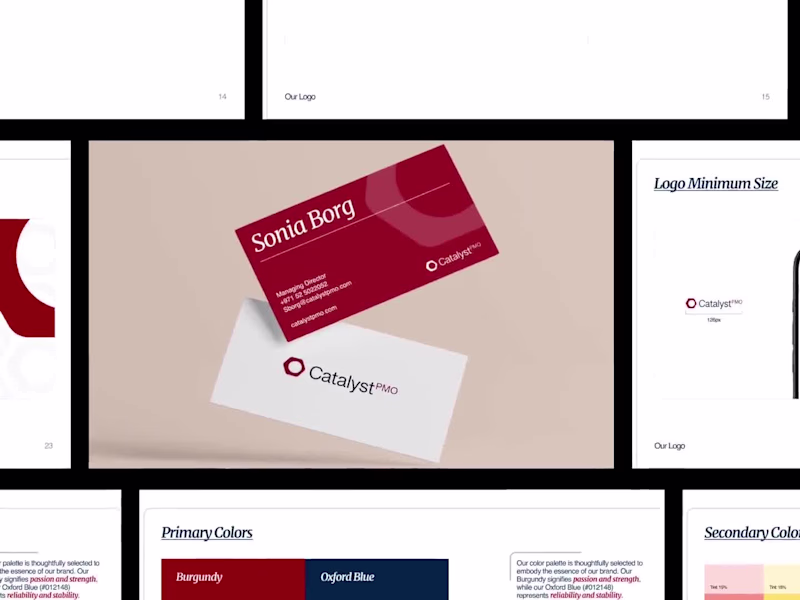 Cover image for Catalyst PMO Branding and Web Design