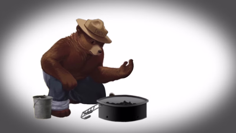 Cover image for Smokey Bear LIVE: Logo Animation 