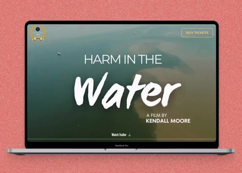 Cover image for Framer Landing Page for Festival Film Launch
