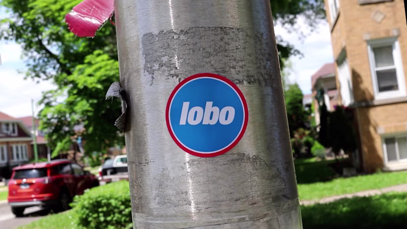 Cover image for Lobo Bold promo video
