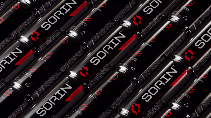 Cover image for SORIN™ launched with a branding