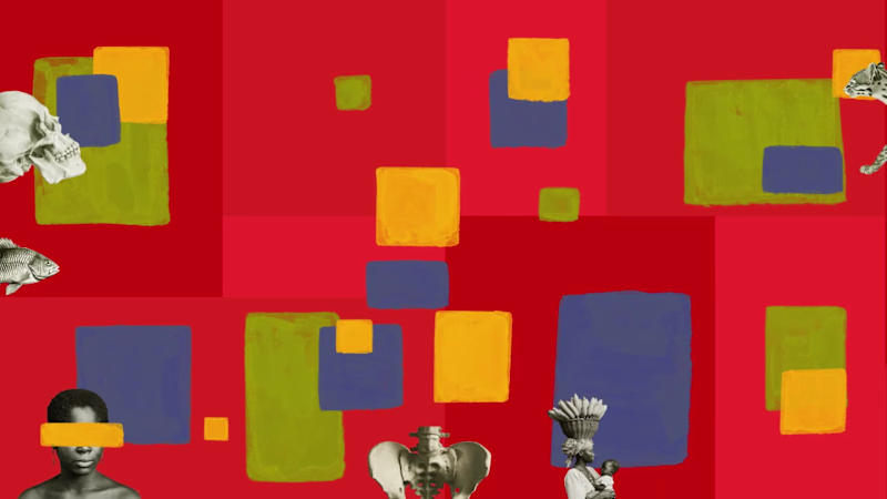 Cover image for AniMAM - Animation, motion design and illustration