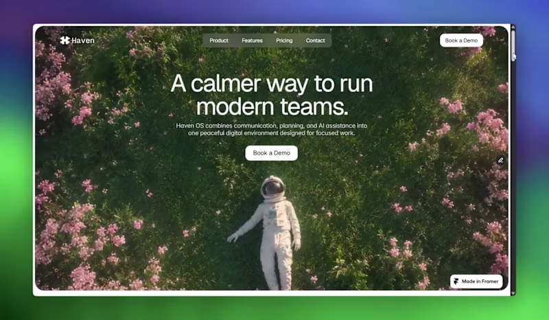 Cover image for Haven OS Website Design and Development