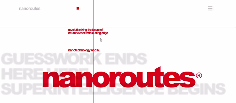 Cover image for Nanoroutes Ai Project For AIIMS neurologist doctor.