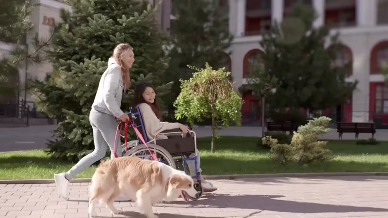 Cover image for "Pleasant Walk in the Park"