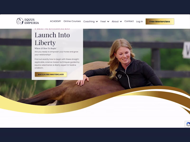 Cover image for Kajabi Site & Product Rebrand, Evergreen Funnel Setup