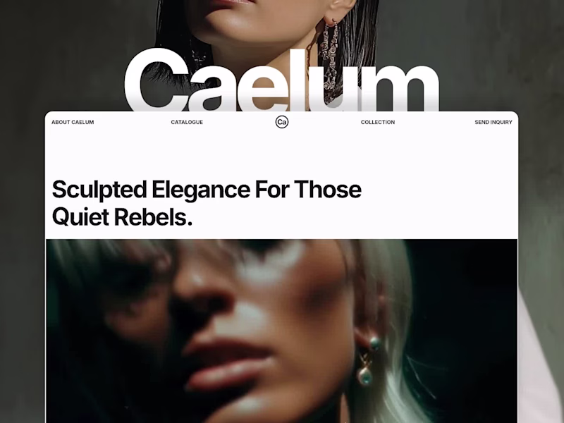 Cover image for Caelum - Sleek eCommerce Boutique