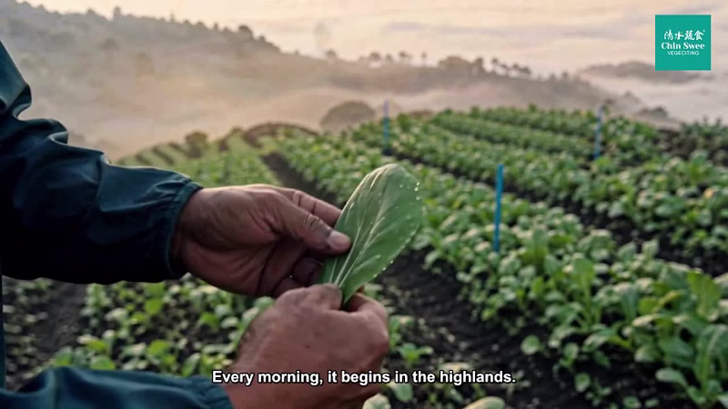 Cover image for Chin Swee Vegeciting Corporate Video