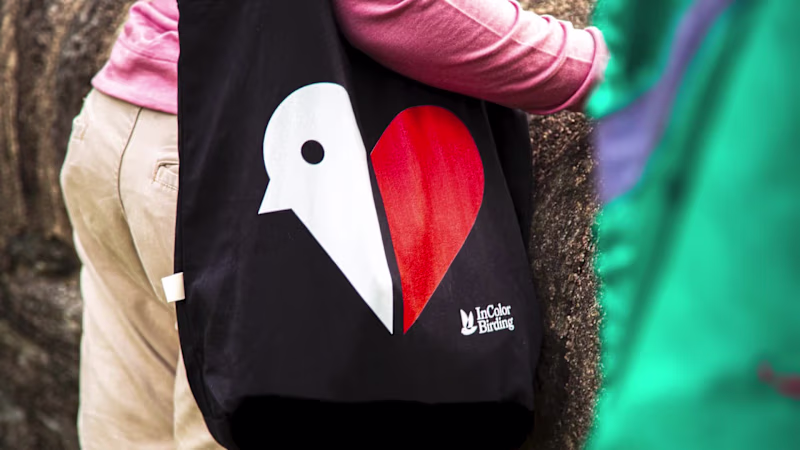Cover image for InColor Birding — Brand Identity