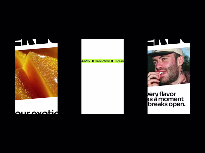 Cover image for EKZO case in progress...